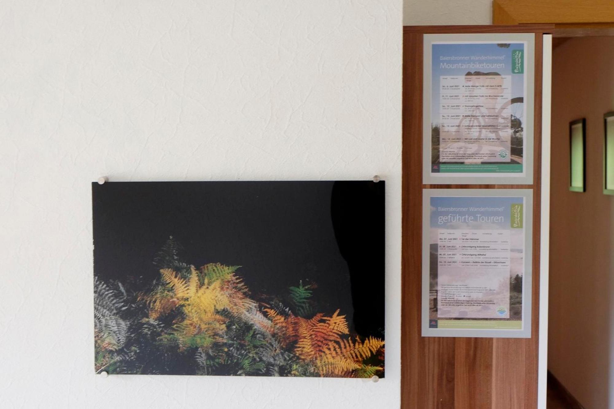 Schwarzwild - Ferienwohnung Und Ferienzimmer Baiersbronn Luaran gambar