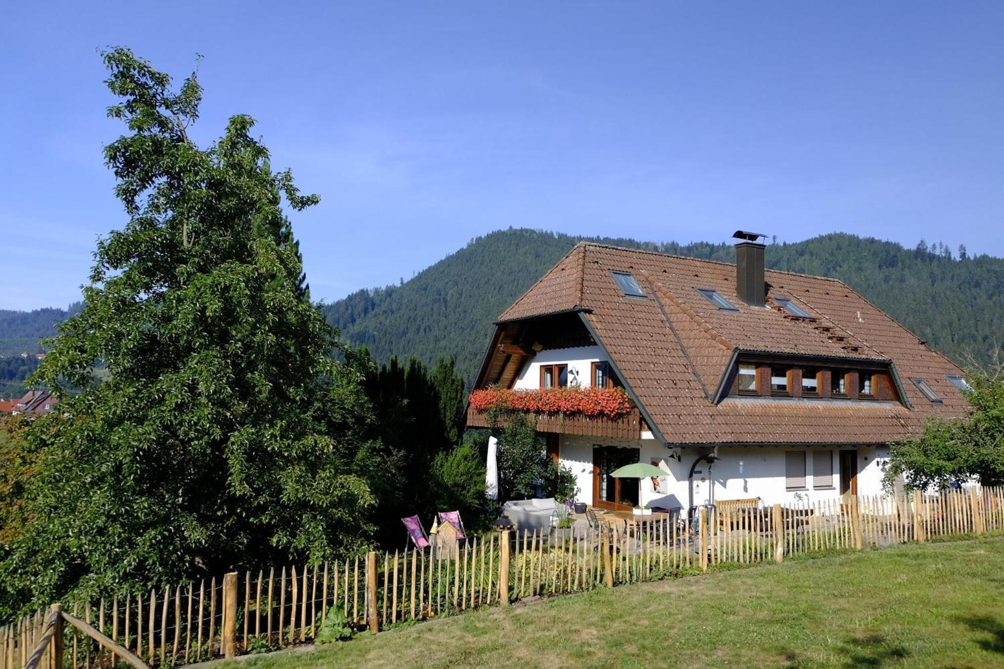 Schwarzwild - Ferienwohnung Und Ferienzimmer Baiersbronn Luaran gambar